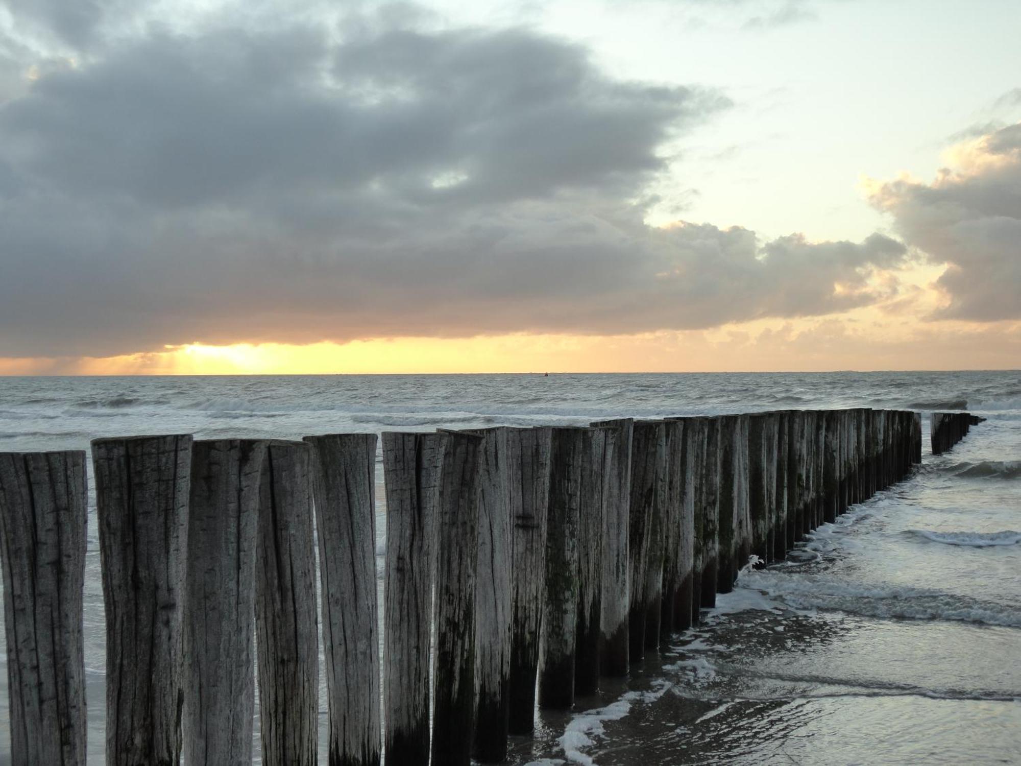 Kompas * Hollum (Ameland)